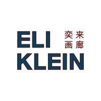 eli klein gallery logo image