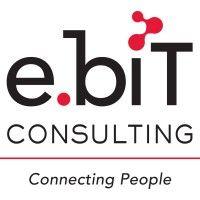 e.bit consulting logo image