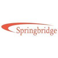 springbridge direct ltd logo image