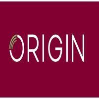 origin technologies fzco logo image