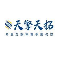 天擎天拓集团 logo image