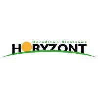 doradztwo biznesowe horyzont logo image