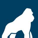 logo of Health Gorilla