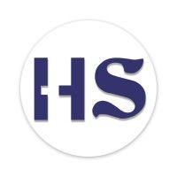 hamzavi solutions logo image