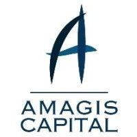 amagis capital: fin-tech,  financial advisory, cloud & cybersecurity logo image