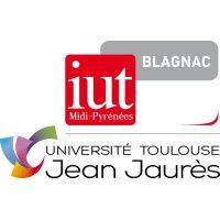 iut de blagnac logo image