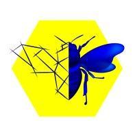 black blue bees studio 3bstudio logo image