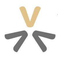 valuego consulting logo image