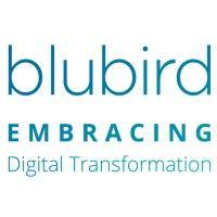 blubird logo image