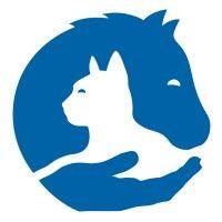 international veterinary outreach logo image