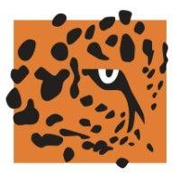 jaguar growth partners logo image