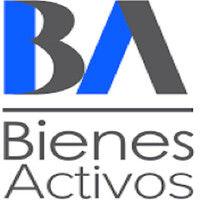 bienes activos ltda logo image