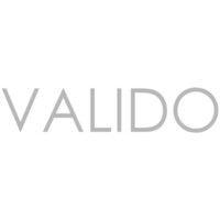 valido logo image