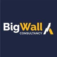 big wall consultancy | digital marketing and seo agency logo image