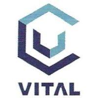 vital materials co., limited logo image