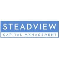 steadview capital logo image