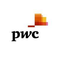 pwc papua new guinea logo image