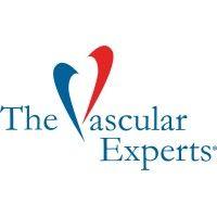 the vascular experts logo image