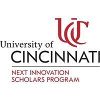 next innovation scholars logo image