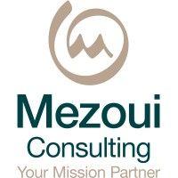 mezoui consulting