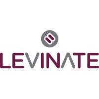 levinate, llc logo image