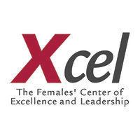 xcel, inc. logo image