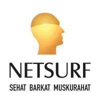 netsurf communications pvt. ltd logo image