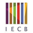 logo of Institut Europeen De Chimie Et Biologie Iecb