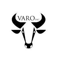 varo-real investments inc logo image