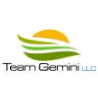 team gemini llc logo image