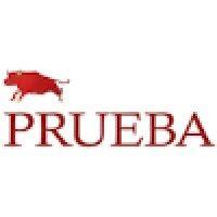 prueba india logo image