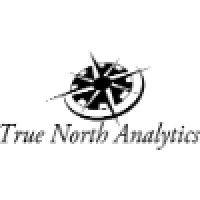 true north analytics llc logo image