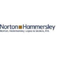 norton, hammersley, lopez & skokos, p.a. logo image