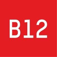 studio b12 gmbh logo image