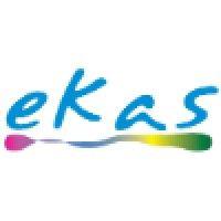 ekas marketing research services logo image