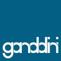 ganddini group, inc. logo image