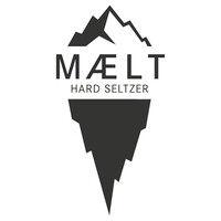 maelt hs gmbh logo image