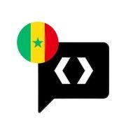 developers.institute.senegal logo image