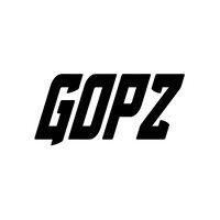 gopz consulting group llc logo image