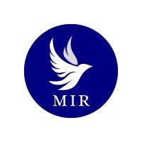 mir investment group