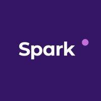 spark dsg logo image