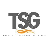 the strategy group, usvi logo image