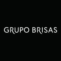 grupo brisas logo image