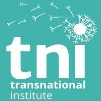 transnational institute logo image