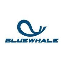 bluewhale offshore logo image