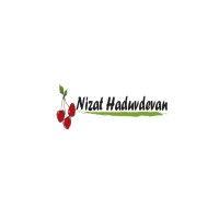 nizat haduvdevan logo image