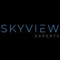 skyview experts logo image