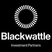 blackwattle investment partners logo image