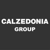 calzedonia group logo image