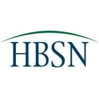 hbsn gmbh logo image